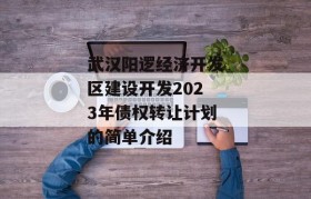 武汉阳逻经济开发区建设开发2023年债权转让计划的简单介绍