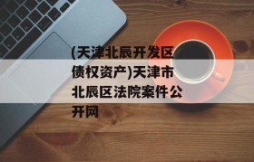 (天津北辰开发区债权资产)天津市北辰区法院案件公开网