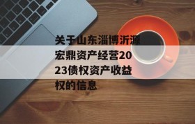 关于山东淄博沂源宏鼎资产经营2023债权资产收益权的信息