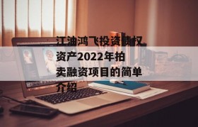 江油鸿飞投资债权资产2022年拍卖融资项目的简单介绍