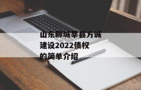 山东聊城莘县方诚建设2022债权的简单介绍