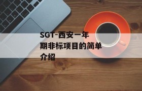 SGT-西安一年期非标项目的简单介绍