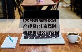 (天津辰融债权资产项目)北京辰融科技有限公司官网