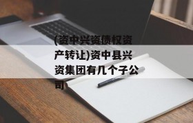 (资中兴资债权资产转让)资中县兴资集团有几个子公司