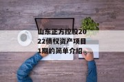 山东正方控股2022债权资产项目1期的简单介绍