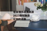 包含潍坊滨海旅游2023债权融资计划的词条