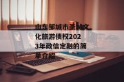 山东邹城市圣城文化旅游债权2023年政信定融的简单介绍