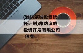 (潍坊滨城投资信托计划)潍坊滨城投资开发有限公司 债券