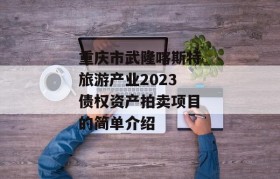 重庆市武隆喀斯特旅游产业2023债权资产拍卖项目的简单介绍