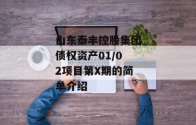 山东泰丰控股集团债权资产01/02项目第X期的简单介绍