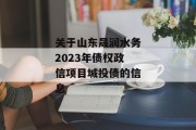 关于山东晟润水务2023年债权政信项目城投债的信息