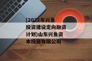 (2022年兴鱼投资建设定向融资计划)山东兴鱼资本投资有限公司