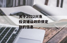 关于2022兴鱼投资建设政府债定融的信息