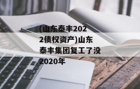 (山东泰丰2022债权资产)山东泰丰集团复工了没2020年