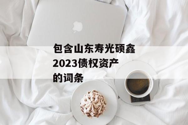 包含山东寿光硕鑫2023债权资产的词条