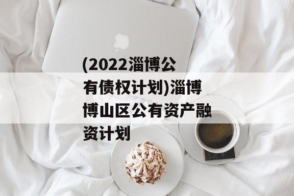 (2022淄博公有债权计划)淄博博山区公有资产融资计划
