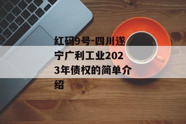 红码9号-四川遂宁广利工业2023年债权的简单介绍