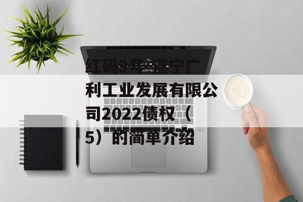 红码9号-遂宁广利工业发展有限公司2022债权（5）的简单介绍