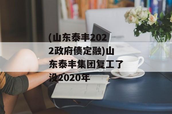 (山东泰丰2022政府债定融)山东泰丰集团复工了没2020年