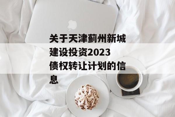 关于天津蓟州新城建设投资2023债权转让计划的信息