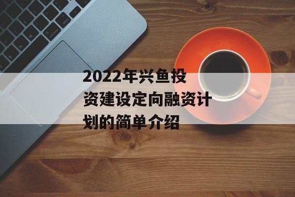 2022年兴鱼投资建设定向融资计划的简单介绍