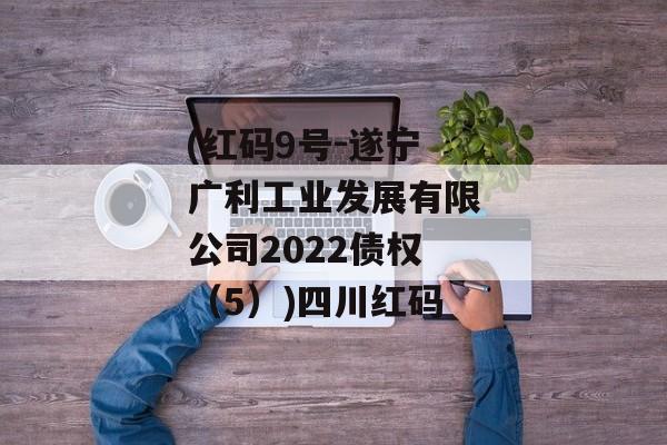 (红码9号-遂宁广利工业发展有限公司2022债权（5）)四川红码