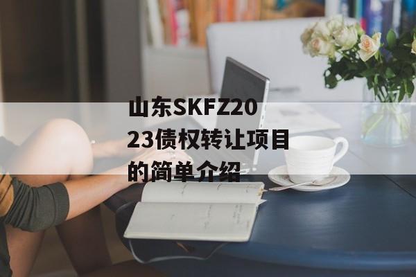 山东SKFZ2023债权转让项目的简单介绍