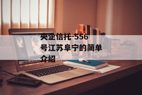 央企信托-556号江苏阜宁的简单介绍