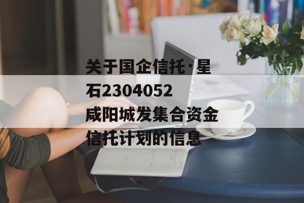 关于国企信托·星石2304052咸阳城发集合资金信托计划的信息